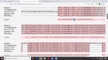 Multiple Sequence Alignment using Clustal Omega & T-Coffee Tool: Unit 14-- 3