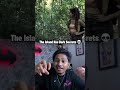 Best Horror Movie Pulau 2023