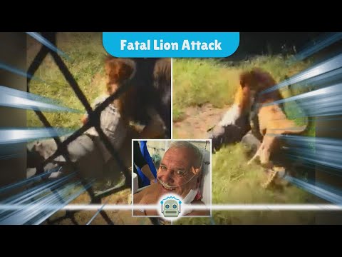 Tragic Lion Attack Claims Life of Wildlife Park Worker in Crimea