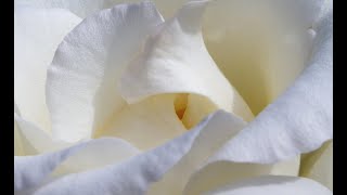 You, My Love (van Heusen) Backing track + music sheet
