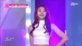 My Favourite Produce 101 (S1 & S2) and Produce 48 Concept Evaluation Song