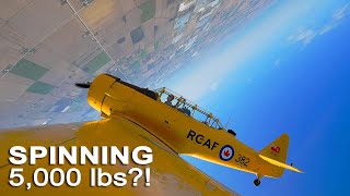90 year old Pilot spins 70 year old Airplane!