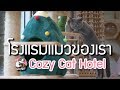 ทำโรงแรมแมวของตัวเอง | The PETTO EP.36