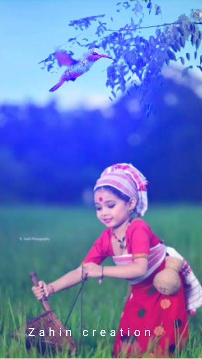 Bokka song status || cute girl || Zahin creation