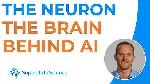 AI & The Neuron in Deep Learning: How Artificial Neurons Mimic the Human Brain