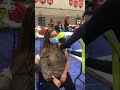 Zeneida recibe la vacuna contra el virus COVID-19!