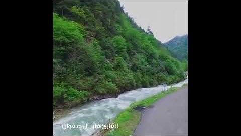 سورة الفاتحة - القارئ فايز آل صفوان الشهري
