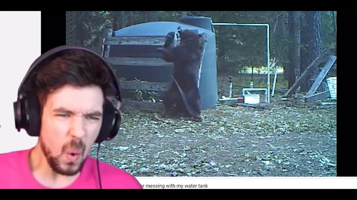 Bear Gets Hit On The Nuts