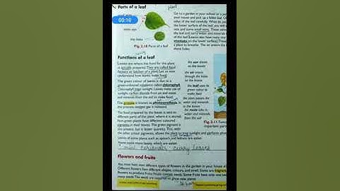 Class3,science,ch2,part 6 by seetha