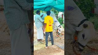 అత్తోట రామకృష్ణ చౌదరి గారు