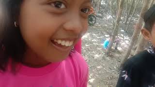 RATU NYAMUK