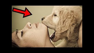 داستان عجیب و باورنکردنی یک خانم با یک سگ