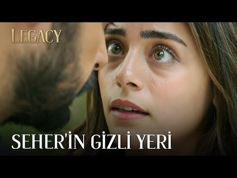 Seher also has a tree..  | Legacy Episode 239