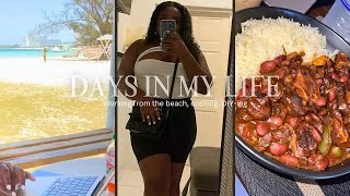 How did i mess this up? | Oxtail stewpeas, Working from the beach | Bleached & dyed a wig first time