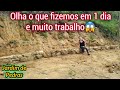 UM DIA DE TRABALHO E ADIANTAMOS MUITO NOSSO JARDIM NO SÍTIO😱/QUASE A CUSTO ZERO/Bora pra Roça?