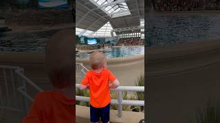 Alex King Dolphin Show Adventure 🐬👑 #AlexKing #Fun #Kids #Shorts