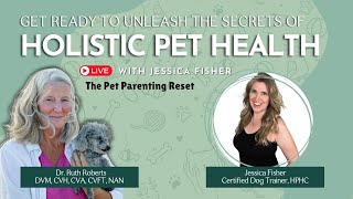 "How to Transform Your Pet’s Health Naturally: Holistic Solutions Vets Won’t Tell You!"