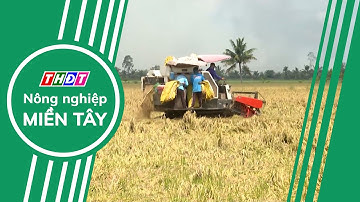 Toàn cảnh Nông nghiệp - 6/11/2025 | Nông nghiệp Miền Tây