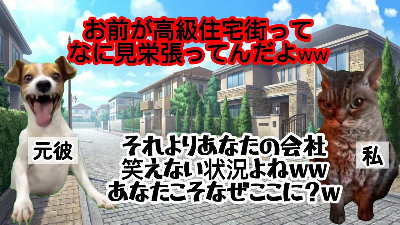 【スカッと猫ミーム】私を追い出し秘書と略奪婚した元彼→2年後、全社員が私の新会社に移籍し倒産w「訴える！」と喚く彼を完全論破した結果www #猫ミーム