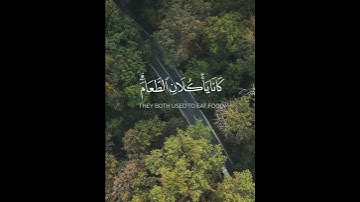 ما المسيح ابن مريم إلا رسول | أحمد النفيس شاشة سوداء بدون حقوق قران سورة المائدة - لا للكريسمس-