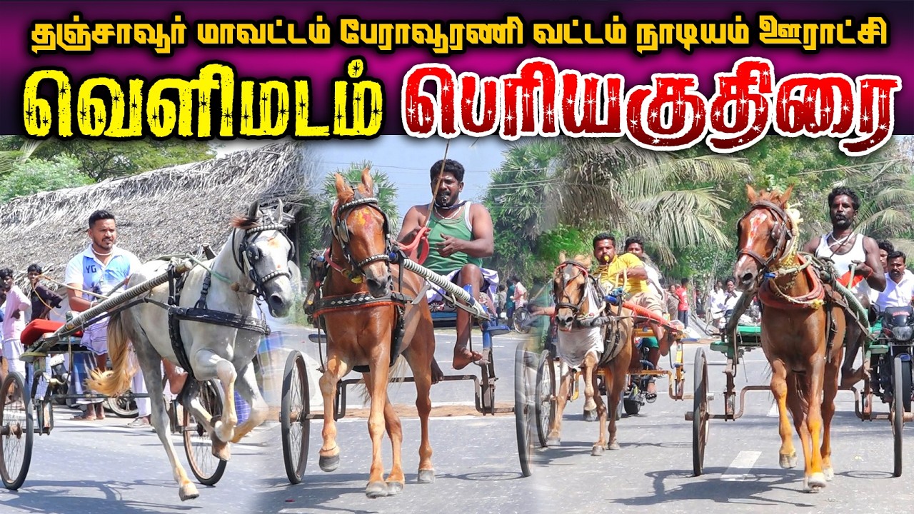 வெளிமடம் பெரியகுதிரை (14.02.2026) பந்தயம்  #perai_raj_digital #reklarace2026