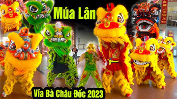 Múa Lân Hay Nhất 2023 gần 70 đoàn Lân Sư Rồng tại lễ hội Chùa Bà Châu Đốc An Giang P1