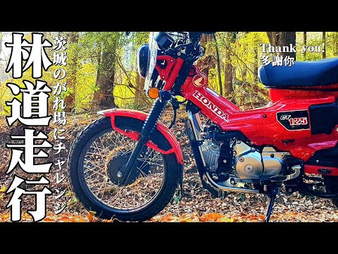 美車】ハンターカブ茨城南部より走行 ゆすぎ 2980km