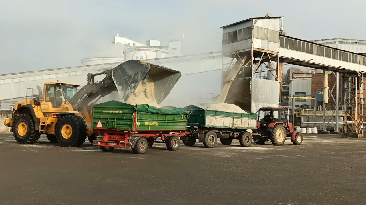 🔥MTZ vs 400 ton🔥Wysłodki i korzenie buraczane 2025🇵🇱GR STRUGAŁA🇵🇱