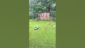 Ecovacs Goat G1 mowing in rain, even though it shouldn