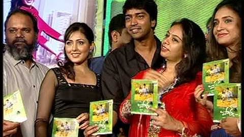 Park Audio Release Function (Part 2) - Video Coverage