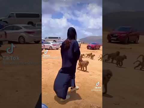 ياساتر يارب
