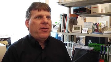 UTMB Researchers one step closer to countering deadly Nipah virus