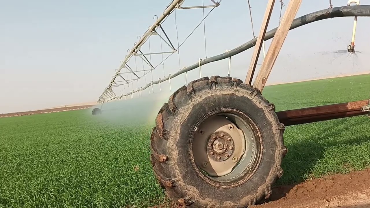 9 Saudi Arabia agriculture rashash