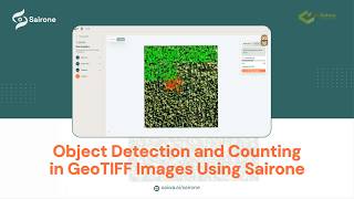 Object Detection and Counting in GeoTIFF Images Using Sairone