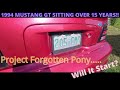 Project Forgotten Pony!