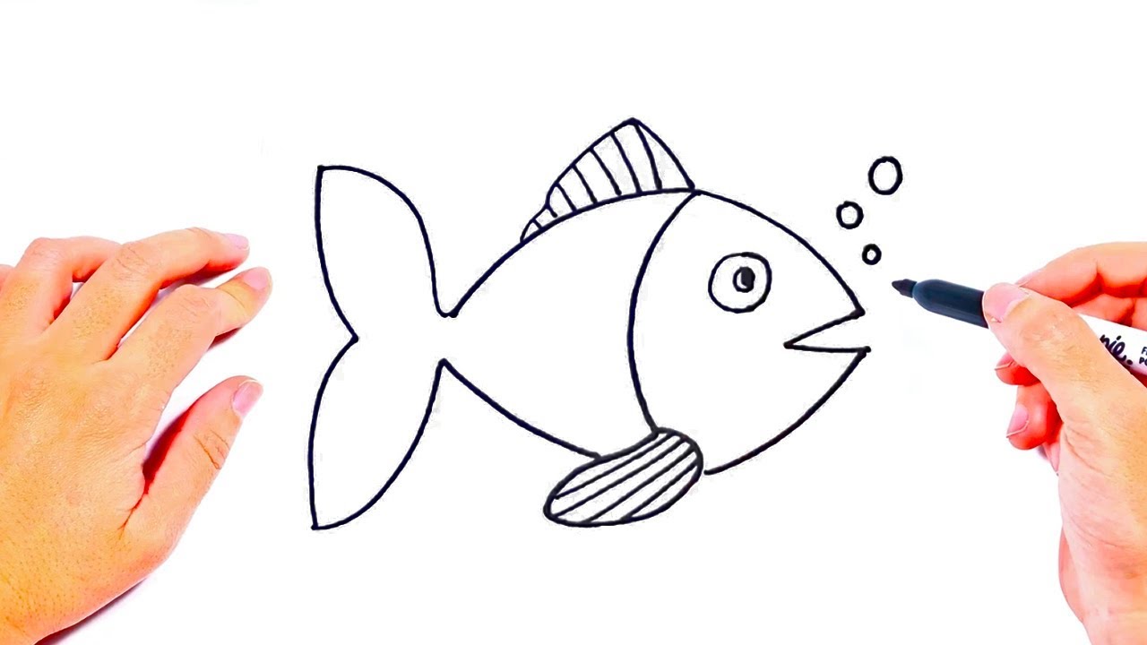 Drawing a Cartoon Fish with Easy Sketching Instructions - How to