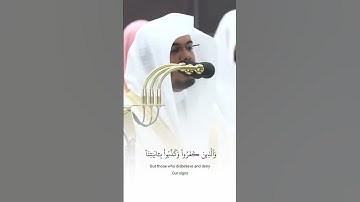 والذين كفروا | تلاوة هادئة بصوت القارئ ياسر الدوسري #ياسر_الدوسري #قران_كريم #quran #قرآن #holyquran