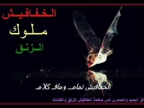 زكريات الكون طارق بنه مفرتك الامه لو القيامة تقوم زنق سوداني