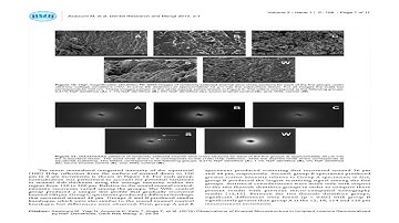 What are the Observations of Enamel Microstructure in Incipient Lesions