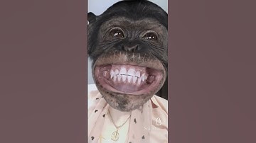 very funny🤣🤣 Snapchat filter meri to hasi nhi ruk rhi #youtubeshort #ad #funnyvideo #shortsfeed