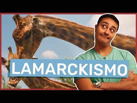 Teoria de Lamarck | Lamarckismo |  Evolução | Prof. Paulo Jubilut