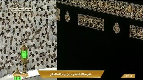 صلاة المغرب الجمعة 17-1-1445هـ الشيخ ماهر المعيقلي   -   أواخر سورة مريم [83-98]