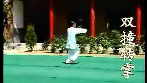 孙志君大师高清程式八卦掌八大老掌教学Cheng Shi Bagua Training Video