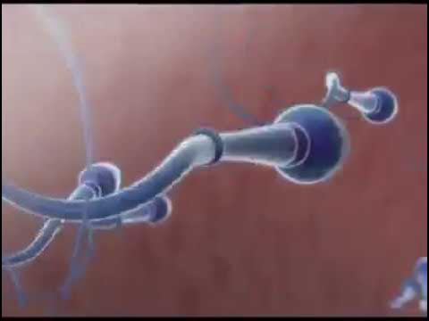 Бюстгалтердегі порно