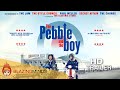 The pebble and the boy official trailer on digital platforms now