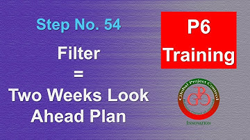 ⭕ Creating a two-week look-ahead plan using a filter in the Primavera P6?