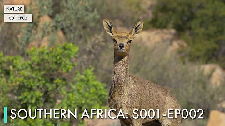 Southern Africa: S01 EP02