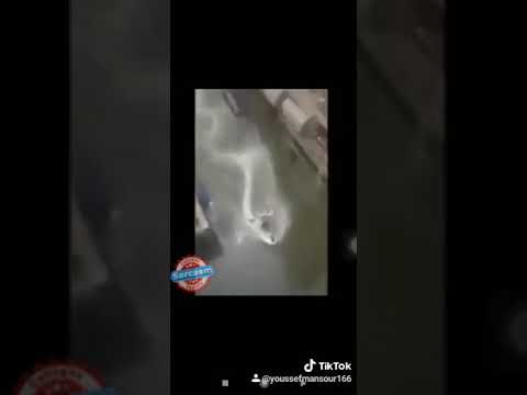 لما تقول الجو مطرة والدكتور مش هييجي