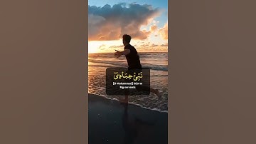 قران بصوت شريف مصطفى ❤️🌹 سورة الحجر-٤٩