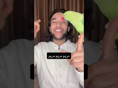 اهداء الى مريم علي فؤاد ببغاء ببغاء يتكلم تريند اكسبلور   ضحك 